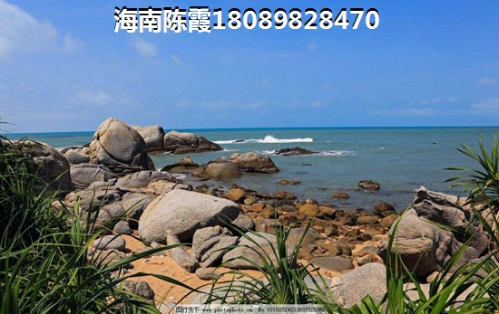 效果图