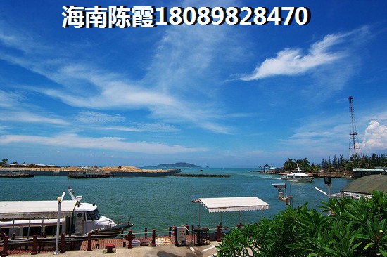 效果图