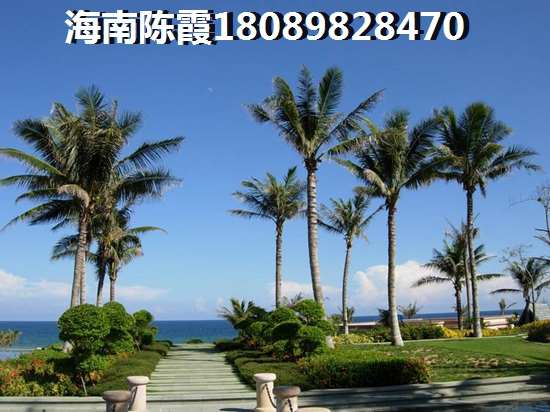 效果图