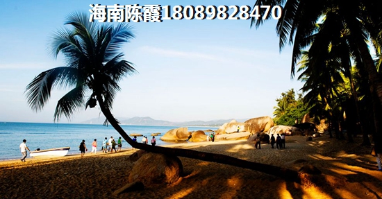 样板间