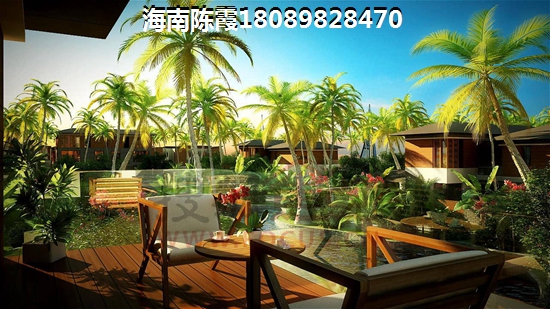 海南醉新楼盘4月14日开盘3