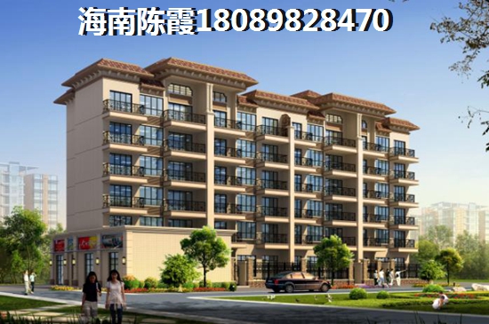 金丝新天地怎么样？