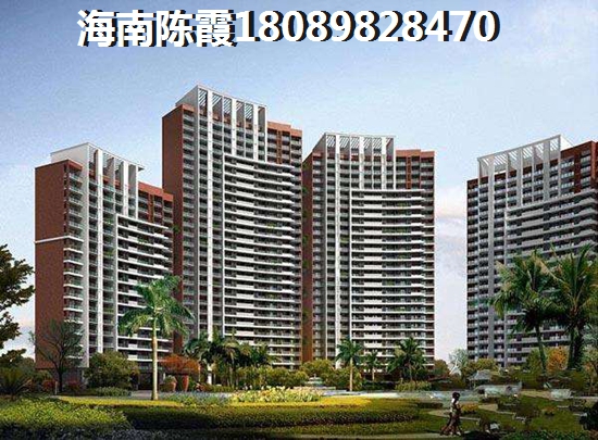 海南建的房子是什么样的