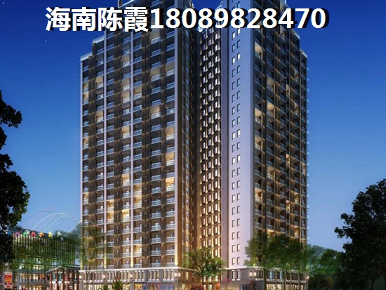 洋浦经济开发区119亩房价