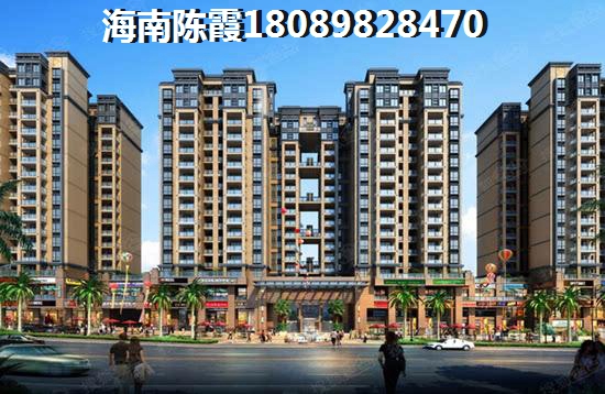 现在是否还会选择在海南定安买房？