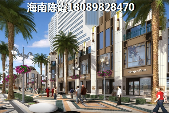 海南110万小户型哪里有？