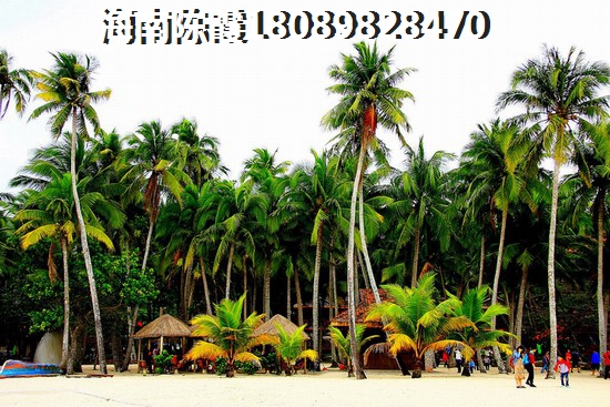 2024是否还选择在中州国际酒店买房？