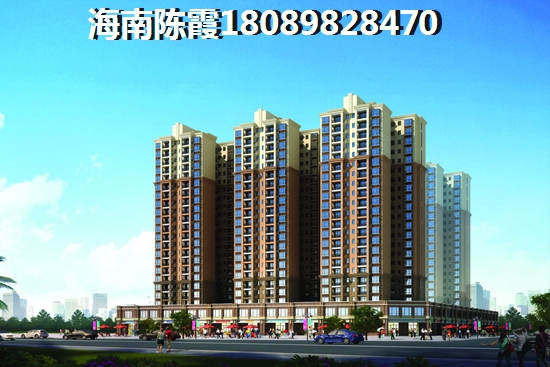 海南东方海郡二手房能touzi吗