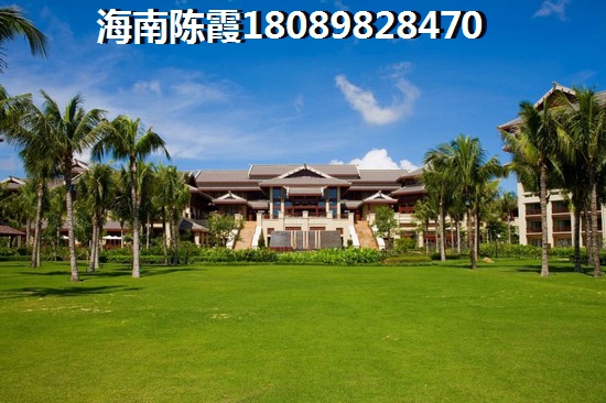 海南洋浦119亩房子出售