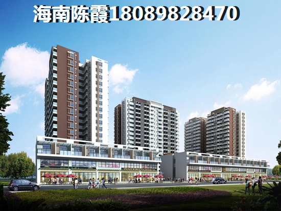 置地东方广场VS海湾雨林养老分析！在海南海口市买房哪里醉适合养老？