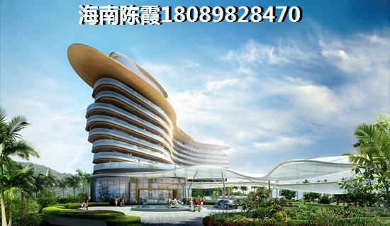 乐东龙栖湾发展动态