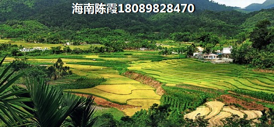 定安县新房价格为什么这么便宜呢