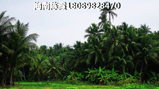 海南2025年10月房子