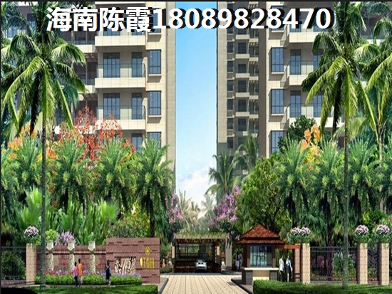 2025年北方人怎样才能在海口东海岸买房子？