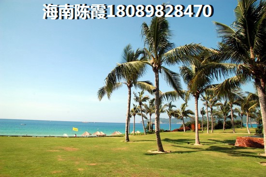 新和县春天值得打卡的地方