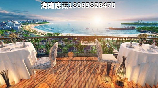 麓鸣海为什么不贵？