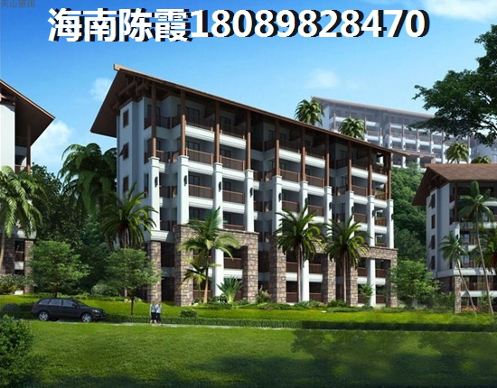 海南乐东县具有touzi价值的楼盘有哪些？